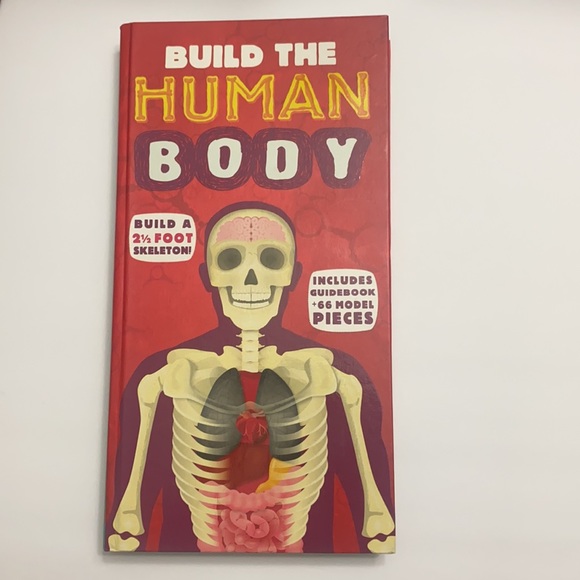 Book Toys New Build The Human Body Book Build A 2 2 Foot Skeleton